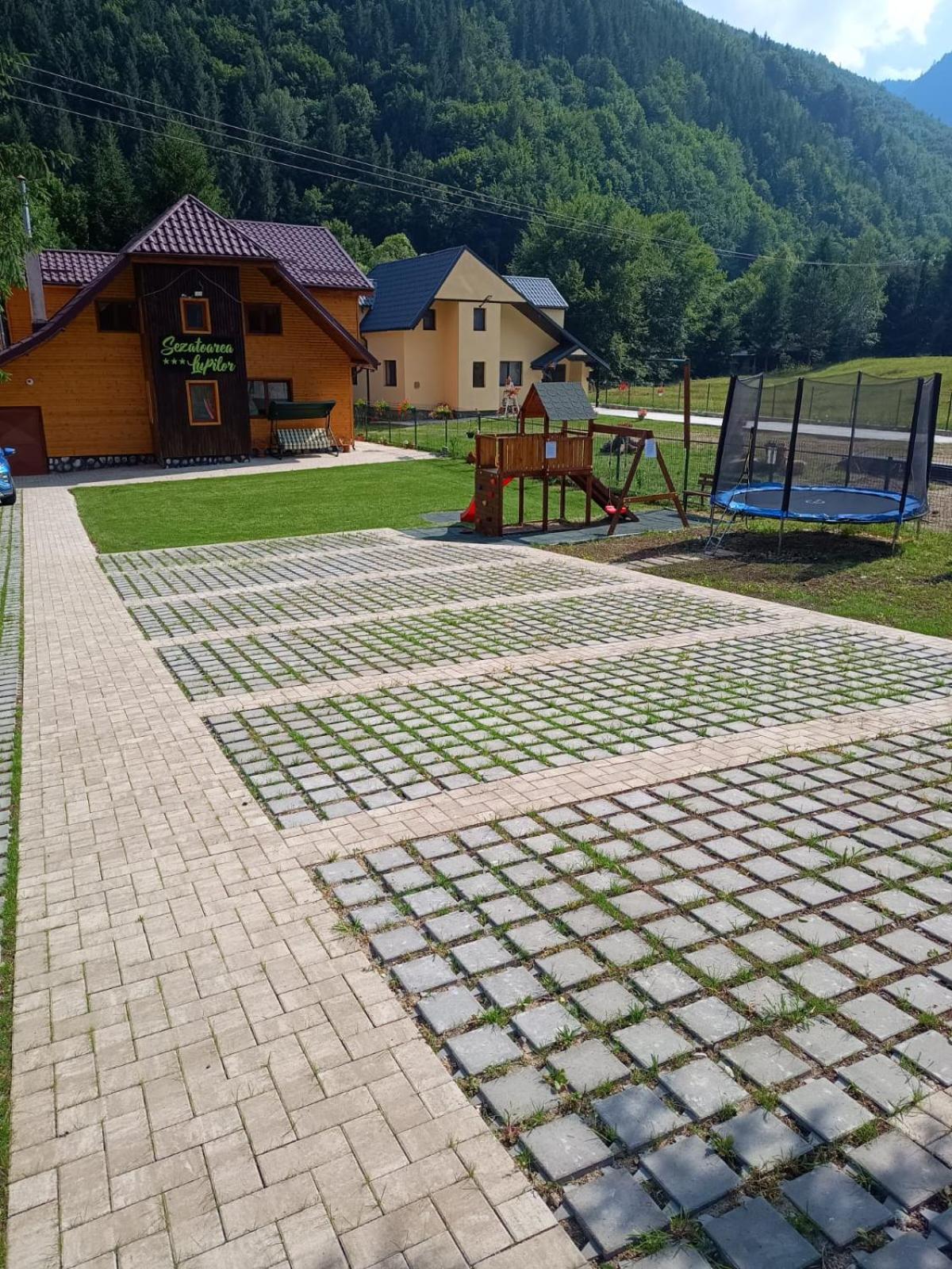 Вілла Sezatoarea Lupilor Лепша Екстер'єр фото